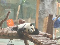 -青藏高原野生动物园