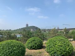 -永定河休闲森林公园