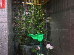 -不倒翁·安徽名菜楼(步行街店)