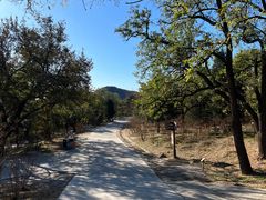 -北京西山国家森林公园