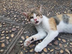 -柬埔寨国家博物馆