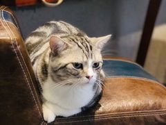 -咖法森林·咖啡  酒吧(天河店)