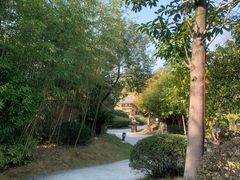 -咸宁万豪温泉谷度假区