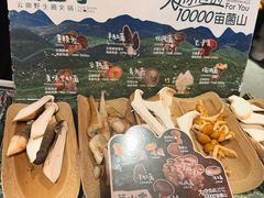 -芸山季·云南野生菌火锅(人民广场来福士店)