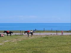 -青海湖国家重点风景名胜区