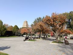 -大慈恩寺(大雁塔)