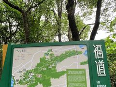 -福道