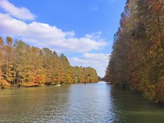 -上海海湾国家森林公园