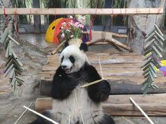 -海南热带野生动植物园