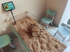 -怪兽屋·羊驼·猫咖·狗咖(俊华广场店)