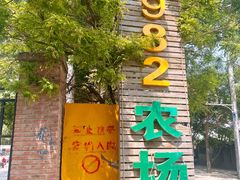 -1982农场