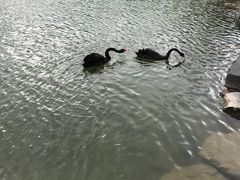 -上海怡沁园度假酒店