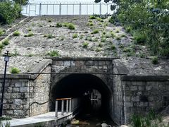 -白水寺森林公园