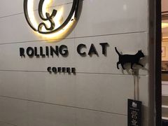 -滚猫咖啡·猫咖·猫友好撸猫(未来城店)