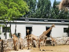 -北京野生动物园