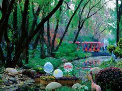 -上海共青森林公园