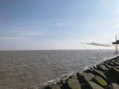 -南汇嘴观海公园