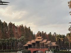 -云南民族村