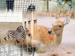 -水上乐园·欢乐世界