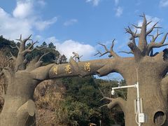 -梅岭月亮湾山体公园