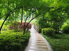 -龙头寺公园