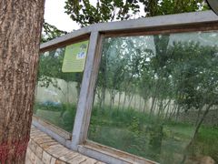 -石家庄市动物园