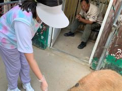 -西霞口神雕山野生动物世界