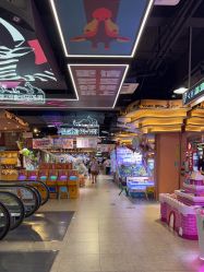 -卡通尼·Safari非洲探索乐园·生日会(金桥国际商业广场店)