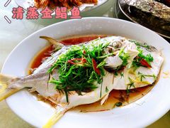 清蒸金昌鱼-乡味海鲜农家菜·巽寮土窑鸡(地道美食店)