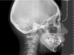 -泰康拜博口腔(凯迪大厦店)