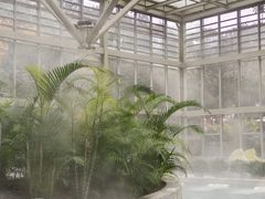 -融汇温泉
