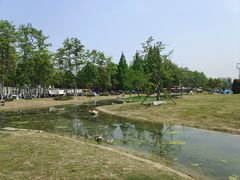 -夏河溪乡野公园
