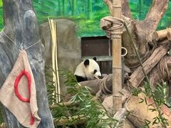 -灵玲国际马戏城