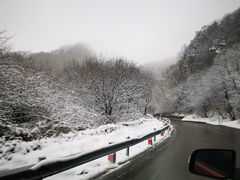 -秦岭风景区
