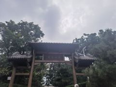 -阳台山自然风景区