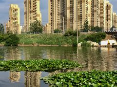 景点-前关湿地公园