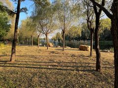 -长春市南湖公园