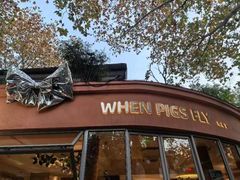 -WHEN PIGS FLY当猪飞