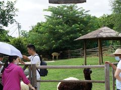 -泉州海丝野生动物世界