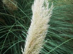 -九里河湿地公园