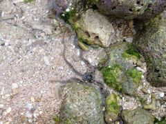 垦丁白沙湾海滩-白沙湾海滩