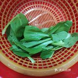 「母亲节厨艺秀」番茄牛肉意大利面