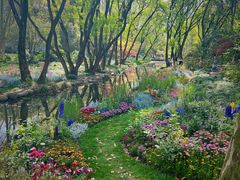 -上海共青森林公园