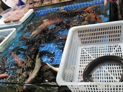 -都斛海鲜街