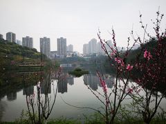 -重庆彩云湖湿地公园
