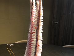 -土著渔匠·养生蝴蝶鱼(香樟路店)
