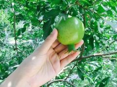 -钓鱼台国宾馆