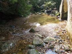 -牛背梁国家森林公园