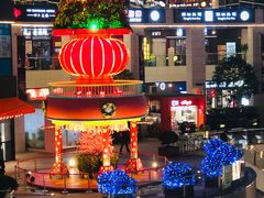 -浦江城市生活广场(江月路店)