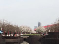 -南京奥林匹克体育中心-体育馆